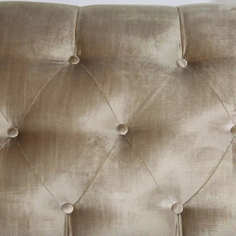 Transitional Chenille Tufted Loveseat with Nailhead Trim Champagne Silver